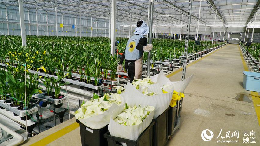 ???????? ??????: ?????? ???? ?????? ??????? ?? ?????