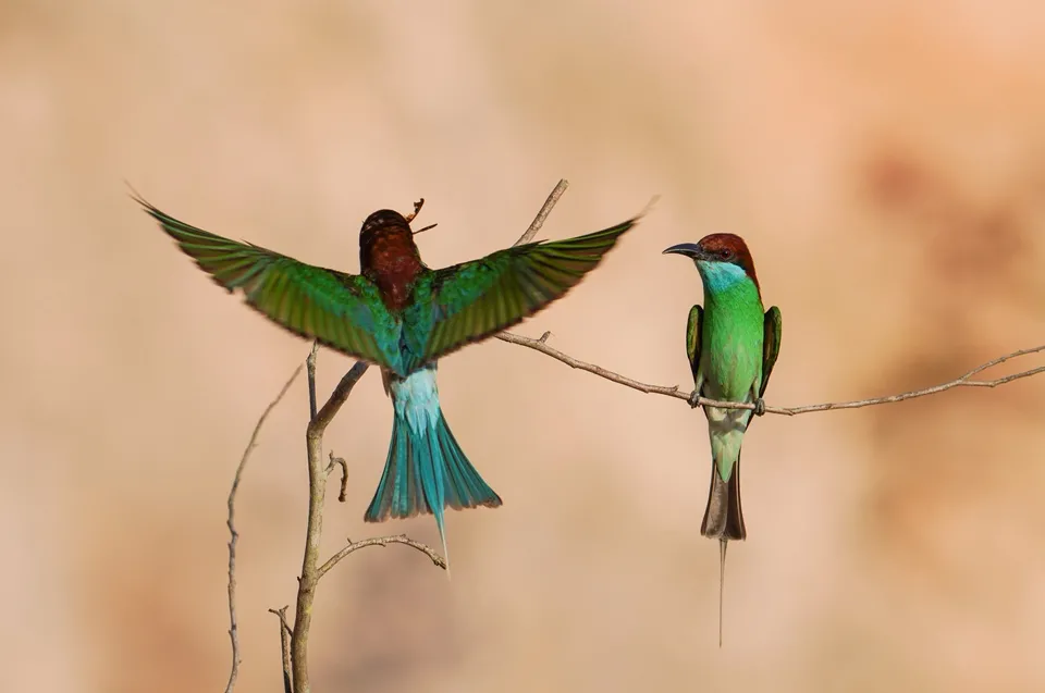 ??? ????? ???? ?????? ???? ???? ?????