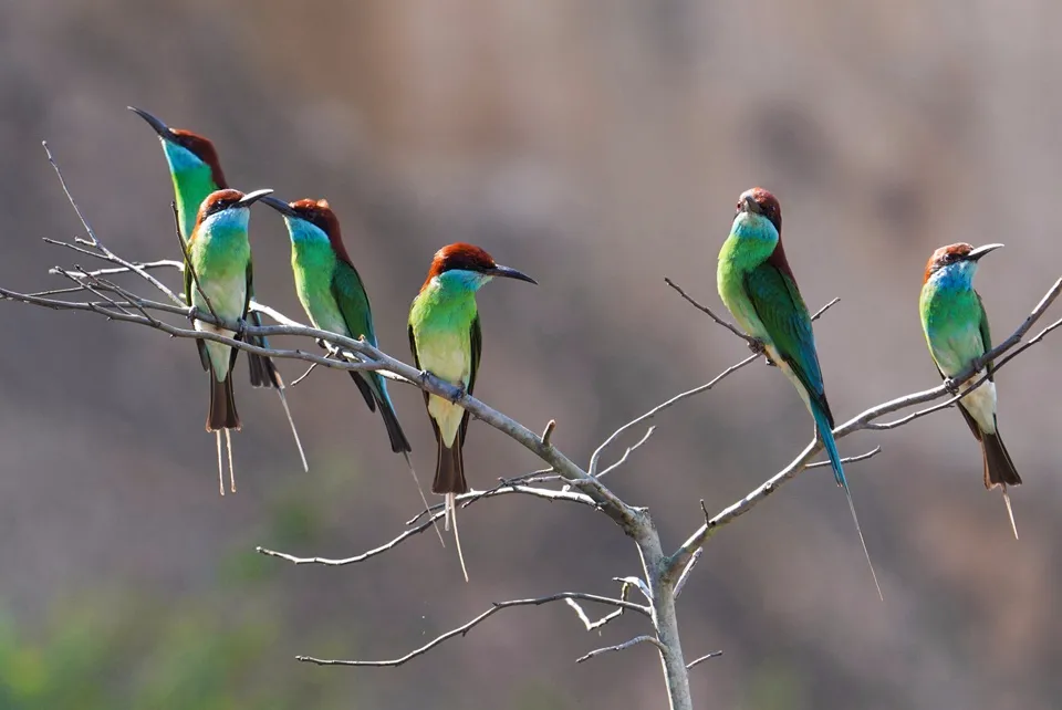 ??? ????? ???? ?????? ???? ???? ?????