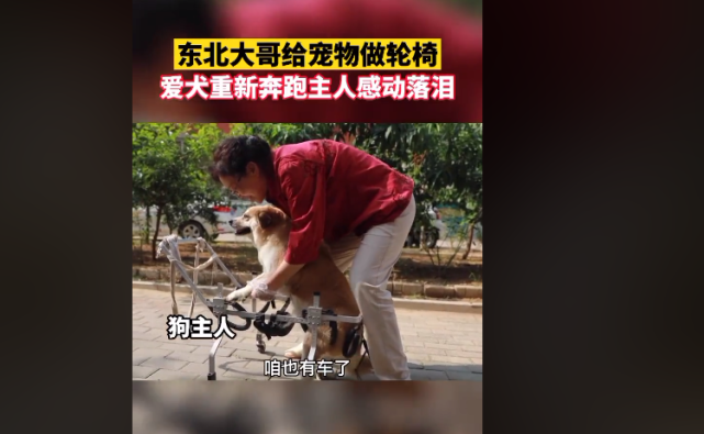 ??? ???? ????? ?????? ????????? ??????? ???????