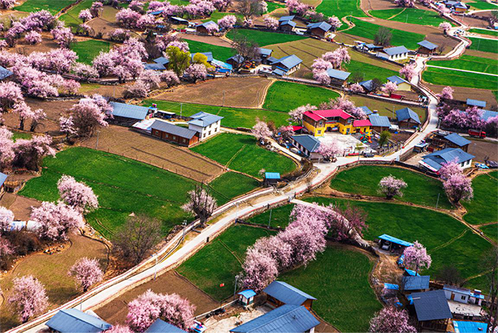 ????? ?????? ??????????? ?? ???? ?????