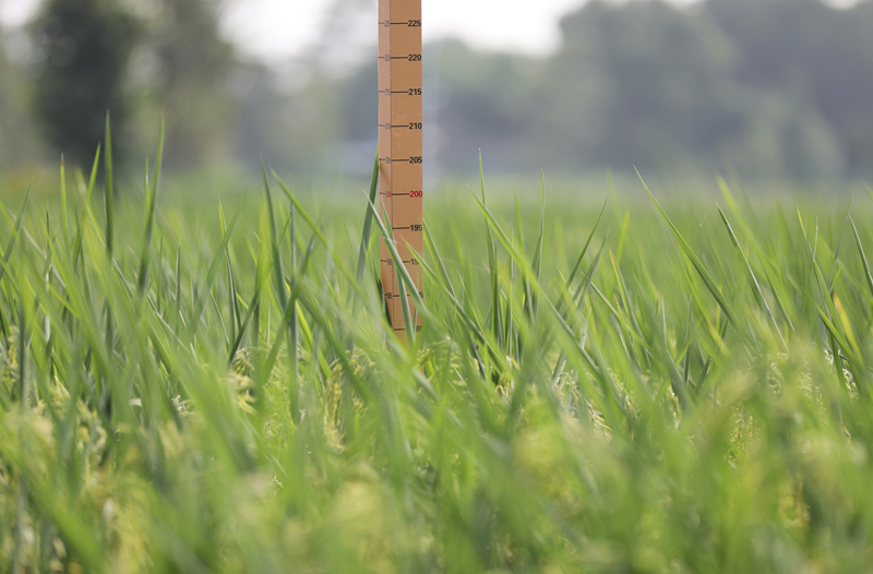 ????? ??????? ????? ????? ??????? ??????? 2 ??? ?? ?????????? 