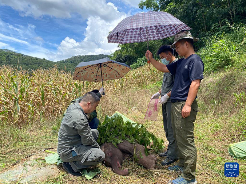 ????? ??? ???? ????? ?? ???? ???? ?????