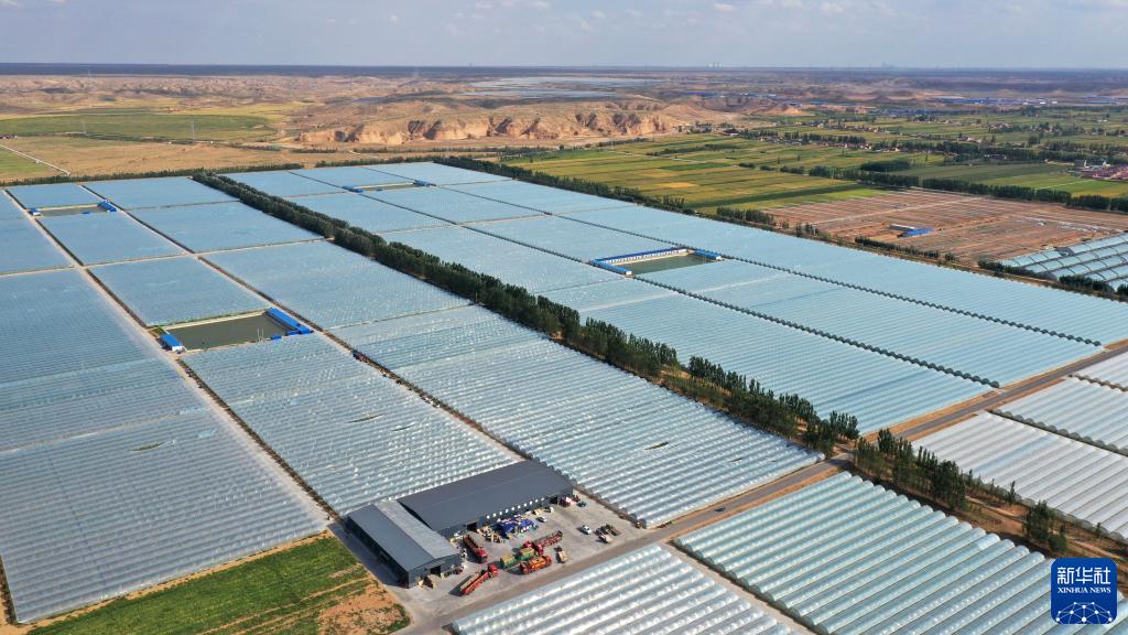 ???????: ????? ???? ?? ???? ??? ????? ????????