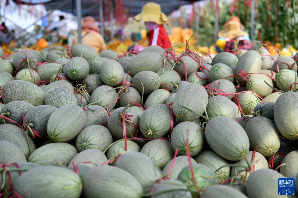 ???????: ????? ???? ?? ???? ??? ????? ????????