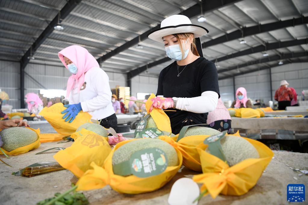 ???????: ????? ???? ?? ???? ??? ????? ????????