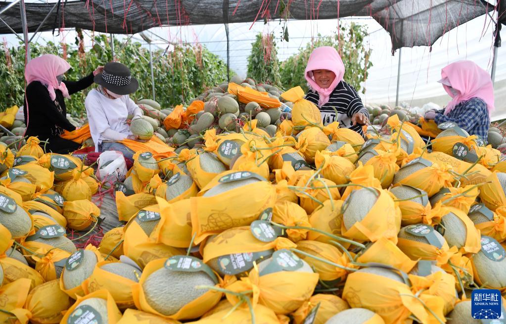 ???????: ????? ???? ?? ???? ??? ????? ????????