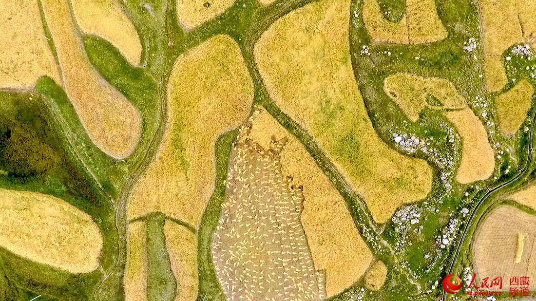 ???? ?????? ?? ???? ????? ? ????? ???? .. ???? ???? ?????? ??? ???? ????????