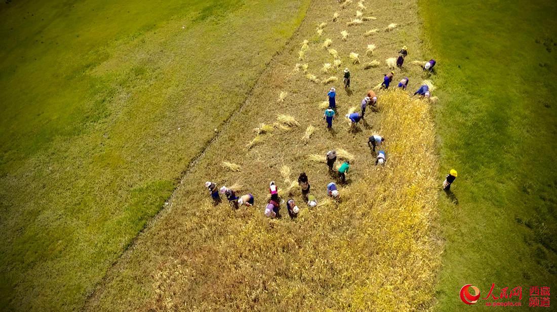 ???? ?????? ?? ???? ????? ? ????? ???? .. ???? ???? ?????? ??? ???? ????????