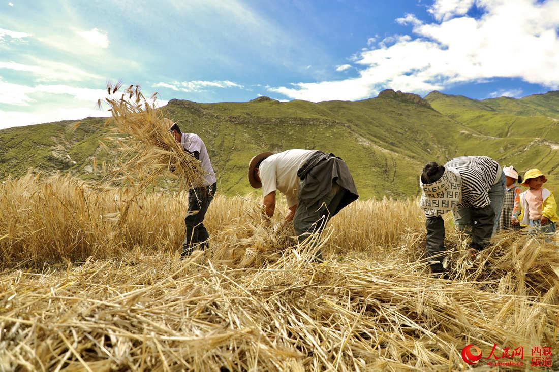 ???? ?????? ?? ???? ????? ? ????? ???? .. ???? ???? ?????? ??? ???? ????????