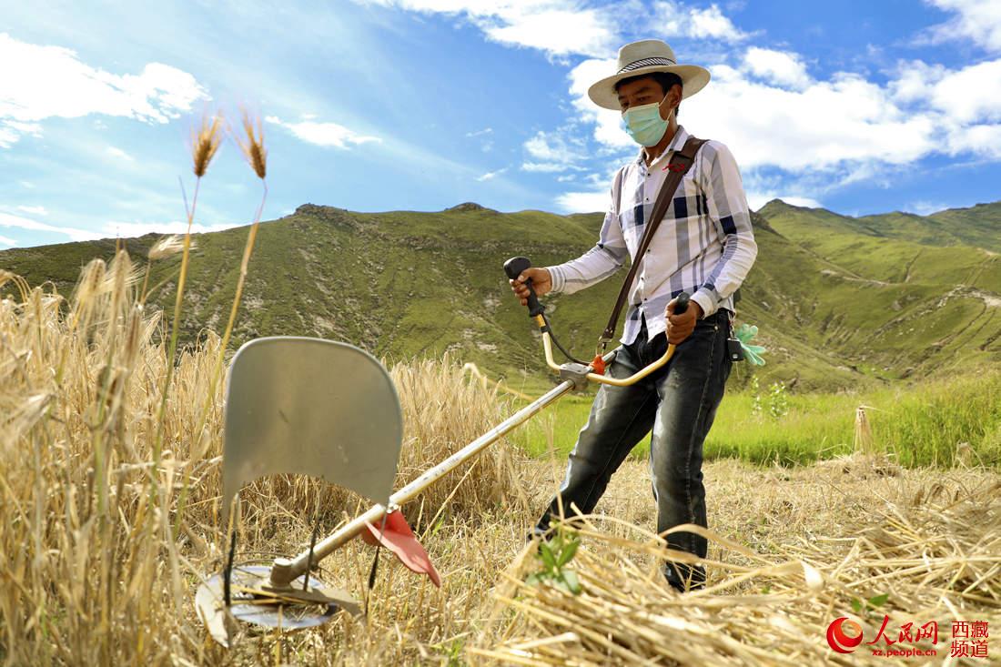 ???? ?????? ?? ???? ????? ? ????? ???? .. ???? ???? ?????? ??? ???? ????????