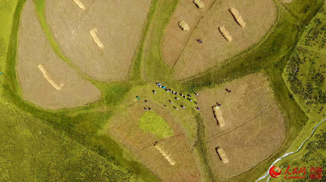 ???? ?????? ?? ???? ????? ? ????? ???? .. ???? ???? ?????? ??? ???? ????????