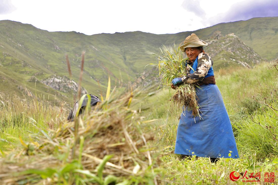 ???? ?????? ?? ???? ????? ? ????? ???? .. ???? ???? ?????? ??? ???? ????????