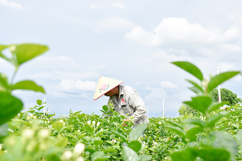 ?????? ? ???????: ??? ???????? ???? ?????? ??????