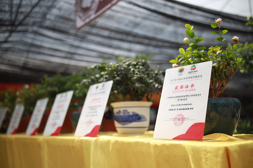 ?????? ? ???????: ??? ???????? ???? ?????? ??????