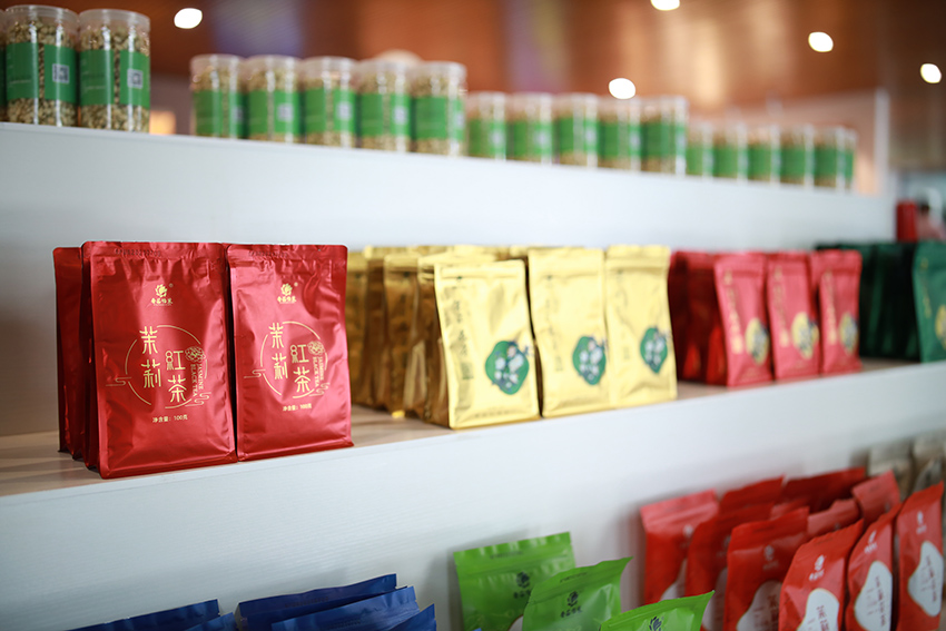 ?????? ? ???????: ??? ???????? ???? ?????? ??????