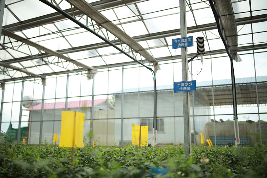 ????? ???????? ???? ???? ??? ??? ????? ?? ?????? ??????? ???? ?????