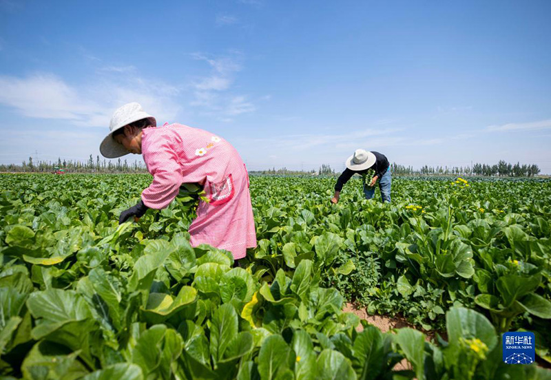 ????? ??????? ?????? ???? ??? ??????