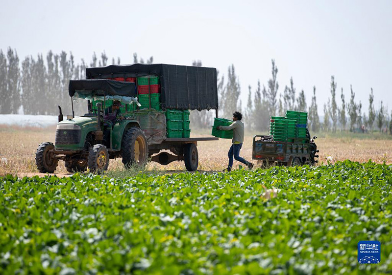 ????? ??????? ?????? ???? ??? ??????