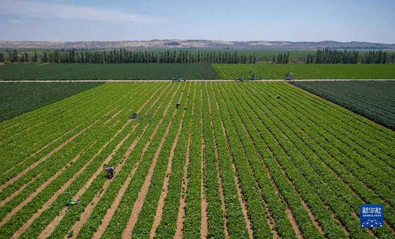 ????? ??????? ?????? ???? ??? ??????