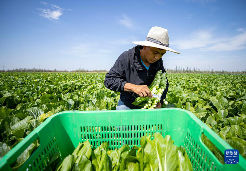 ????? ??????? ?????? ???? ??? ??????