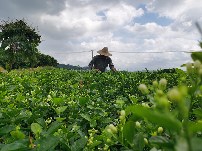 ????? ??????: ???? ???????? ?????? ???? ??? ????? ???? ??????