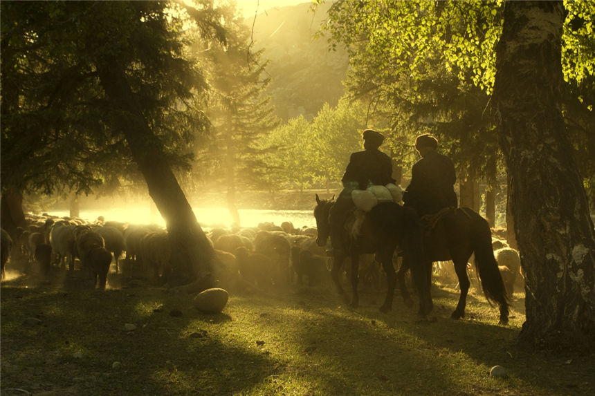 ??????: ?????? ???????? ????? ???????? ?????????