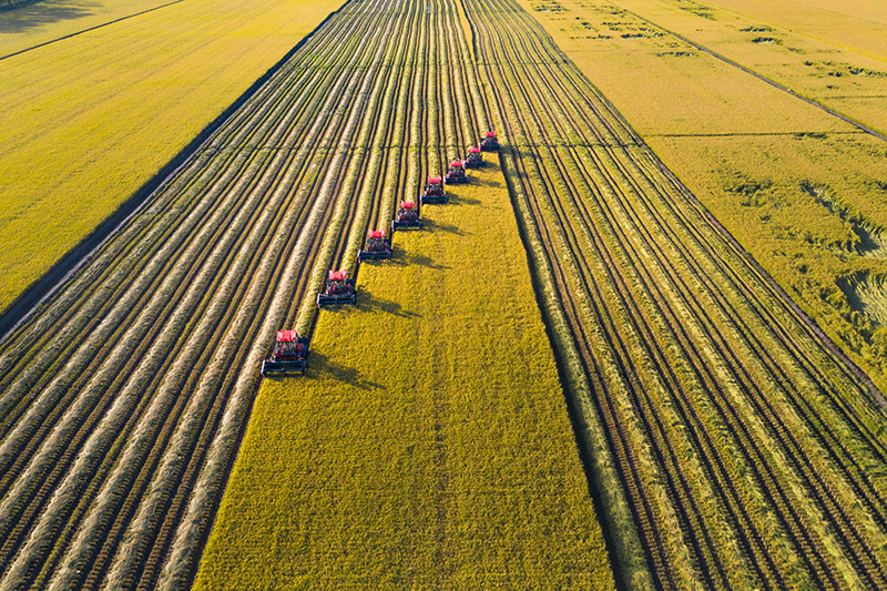 ??? ???? ???? ????? ?? ??????????? 