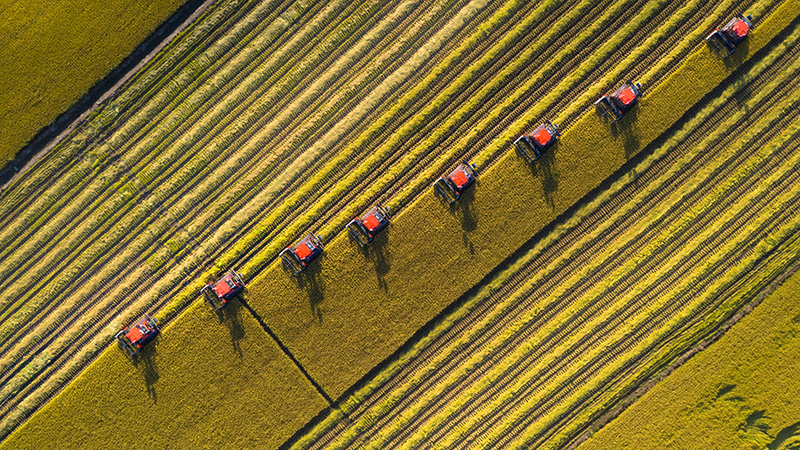 ??? ???? ???? ????? ?? ??????????? 