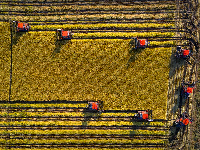 ??? ???? ???? ????? ?? ??????????? 