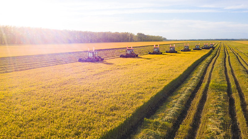 ??? ???? ???? ????? ?? ??????????? 