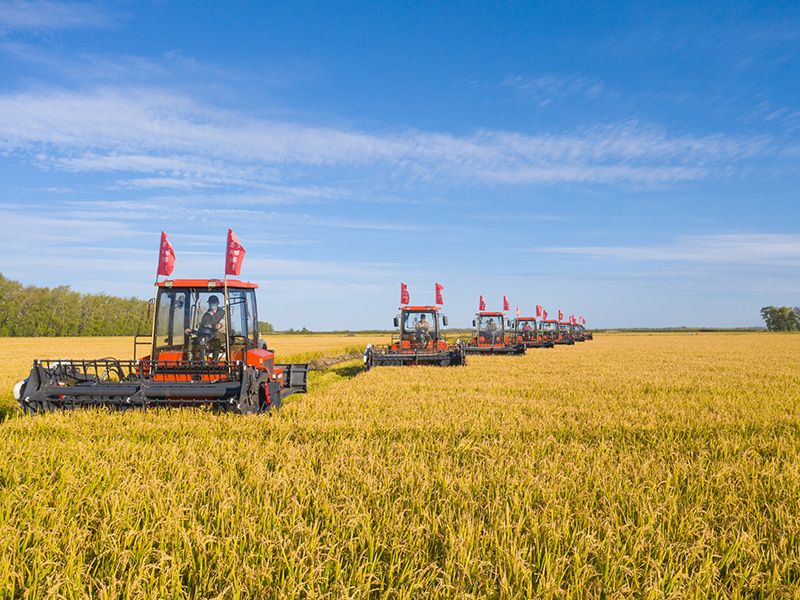 ??? ???? ???? ????? ?? ??????????? 