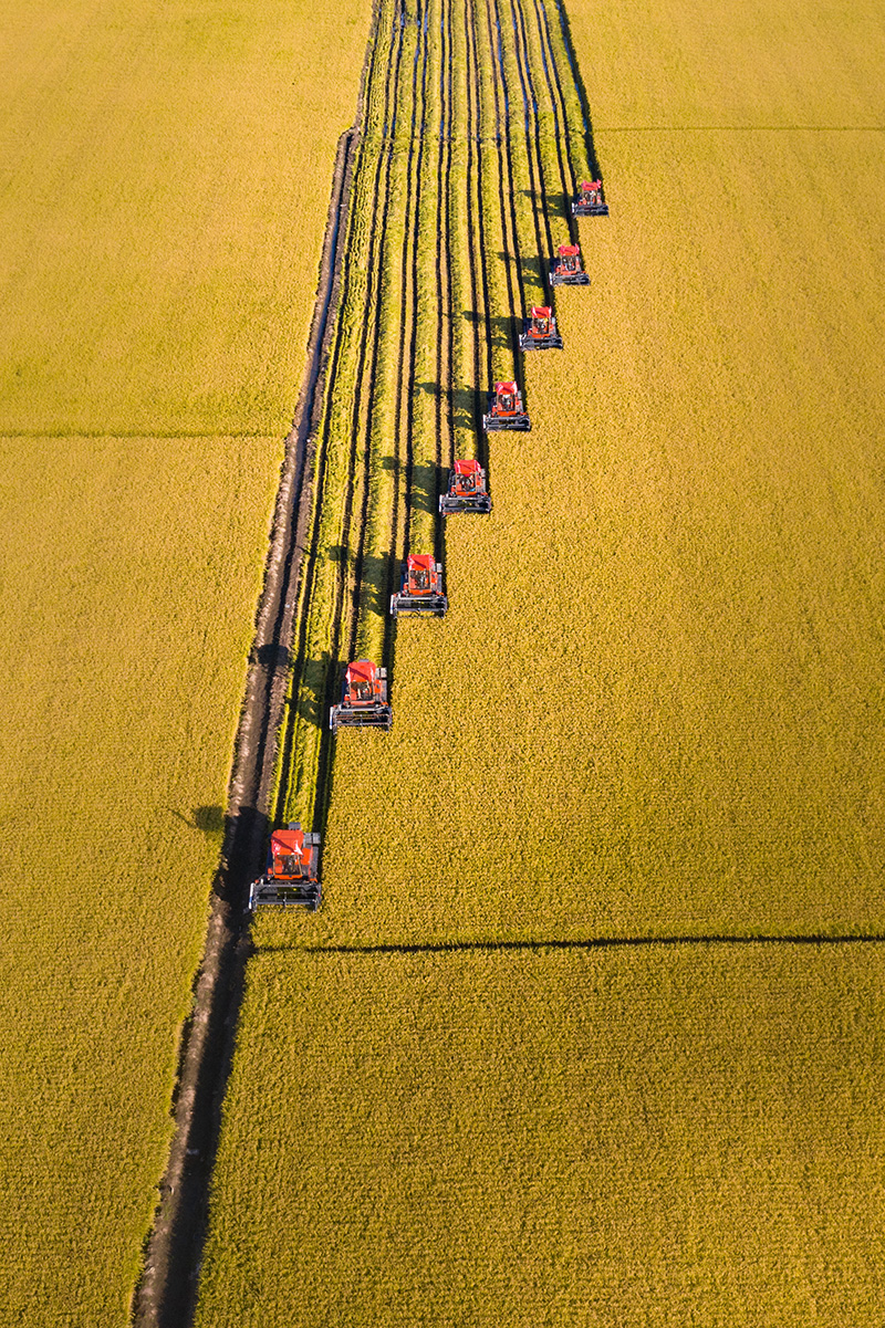 ??? ???? ???? ????? ?? ??????????? 