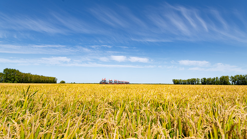 ??? ???? ???? ????? ?? ??????????? 