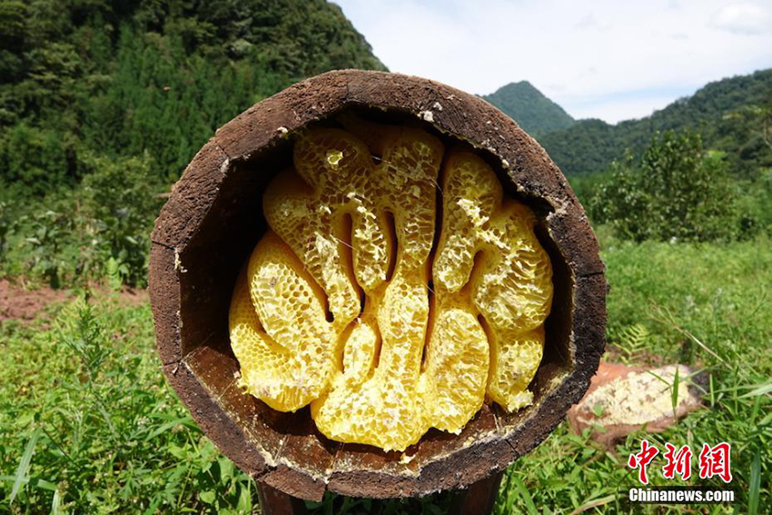 ??? ????? ?? ????? ???? ???????