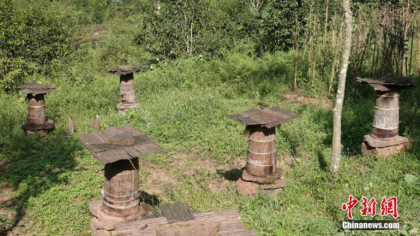 ??? ????? ?? ????? ???? ???????