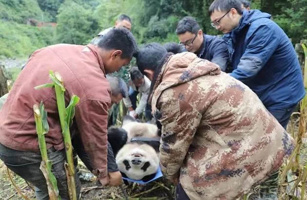 ????? ????? ????? ????? ??? ???? ?????? ?? ???????