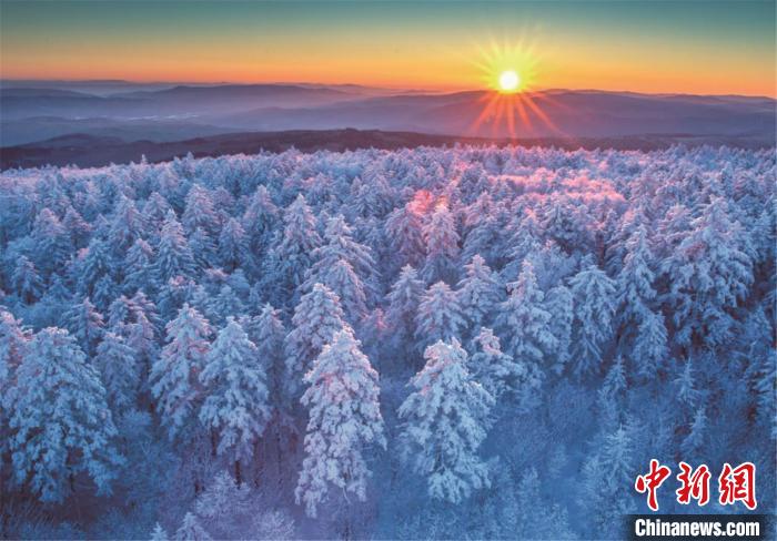 ???? ????? ??????? ?? ???????????  .. ?? ???? ????? ??? ????? ?????? ??? ????? 5A