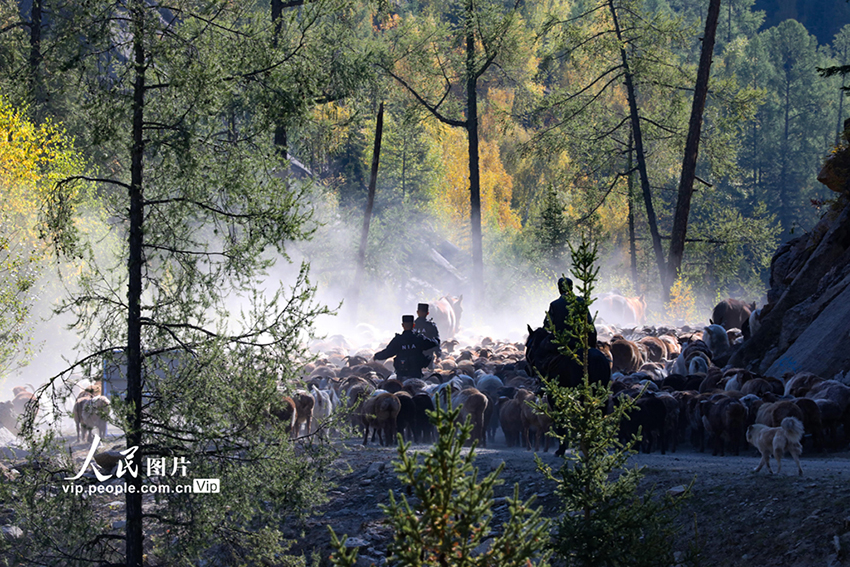 ?????? ????????: ?????? ???? ???? ?????? ??? ??????? ???????