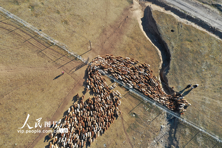 ?????? ????????: ?????? ???? ???? ?????? ??? ??????? ???????