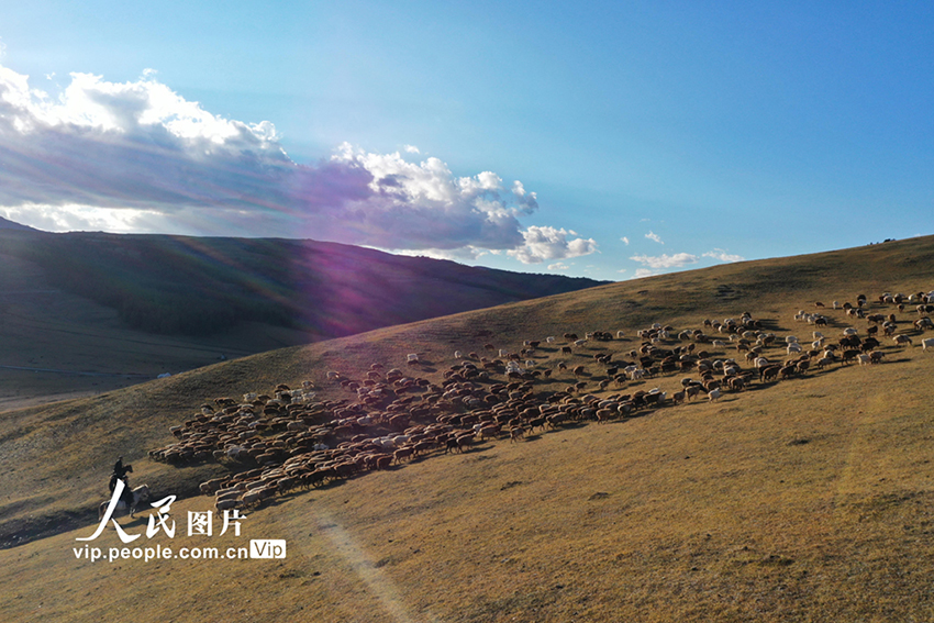 ?????? ????????: ?????? ???? ???? ?????? ??? ??????? ???????