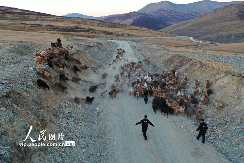 ?????? ????????: ?????? ???? ???? ?????? ??? ??????? ???????