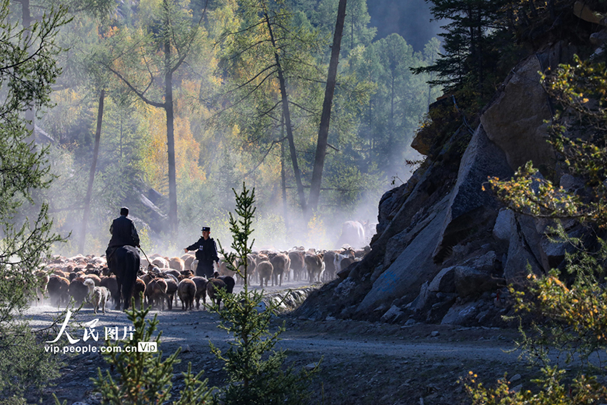 ?????? ????????: ?????? ???? ???? ?????? ??? ??????? ???????