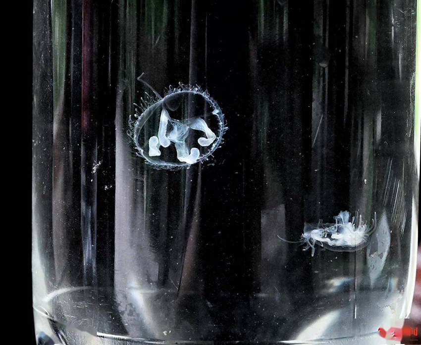 ?????? ????? ??? ??? ??? ????????? ?? ?????? ???????