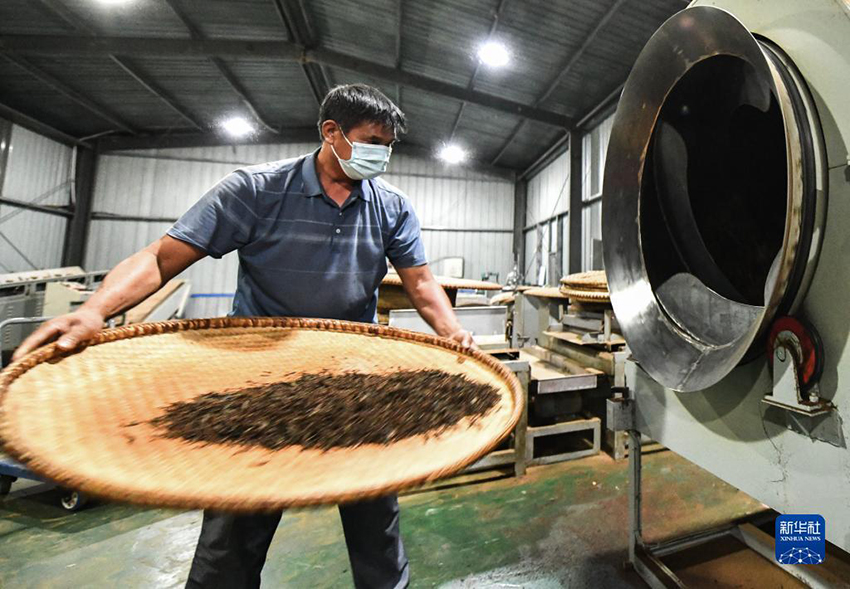 ?????????? ?????: ??? ??? ?????? ?????? ???? ???? ??????