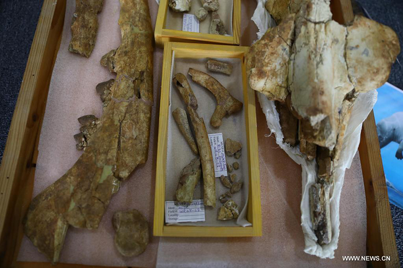 ????? : ?????? ??? ???? ?????? ??? ??? 43 ????? ??? ???? ?? ??? ????????