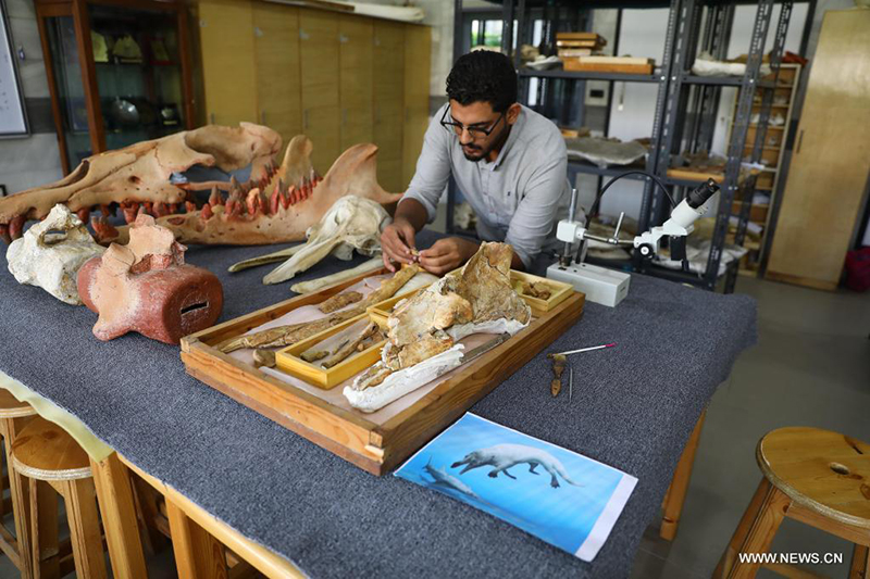 ????? : ?????? ??? ???? ?????? ??? ??? 43 ????? ??? ???? ?? ??? ????????