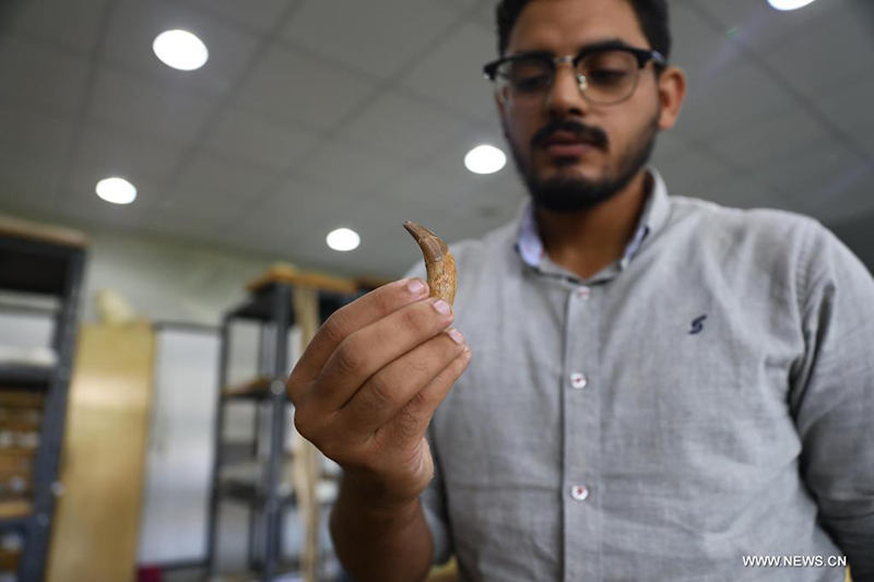 ????? : ?????? ??? ???? ?????? ??? ??? 43 ????? ??? ???? ?? ??? ????????