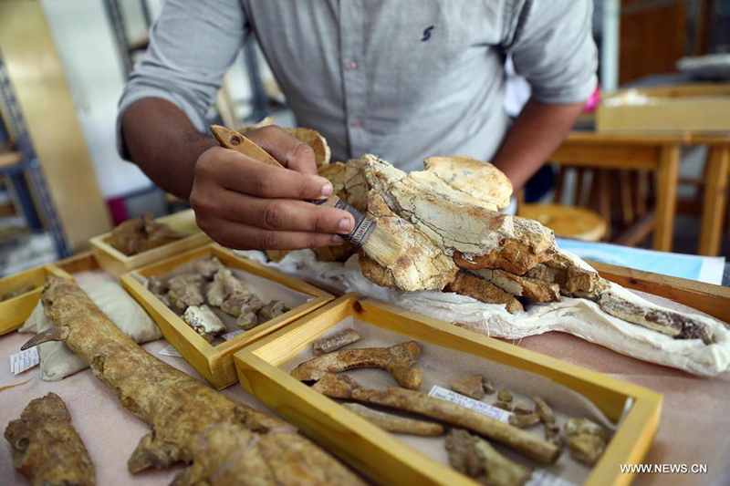 ????? : ?????? ??? ???? ?????? ??? ??? 43 ????? ??? ???? ?? ??? ????????