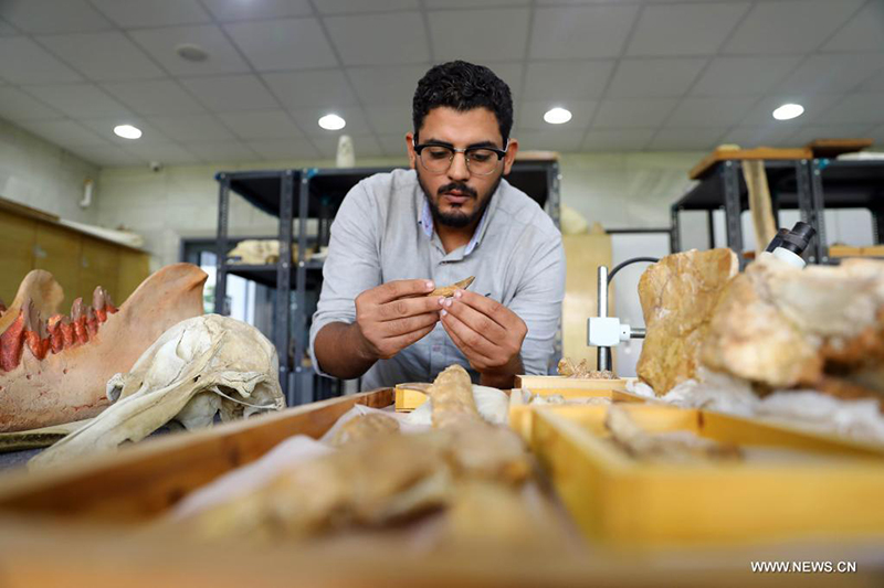 ????? : ?????? ??? ???? ?????? ??? ??? 43 ????? ??? ???? ?? ??? ????????